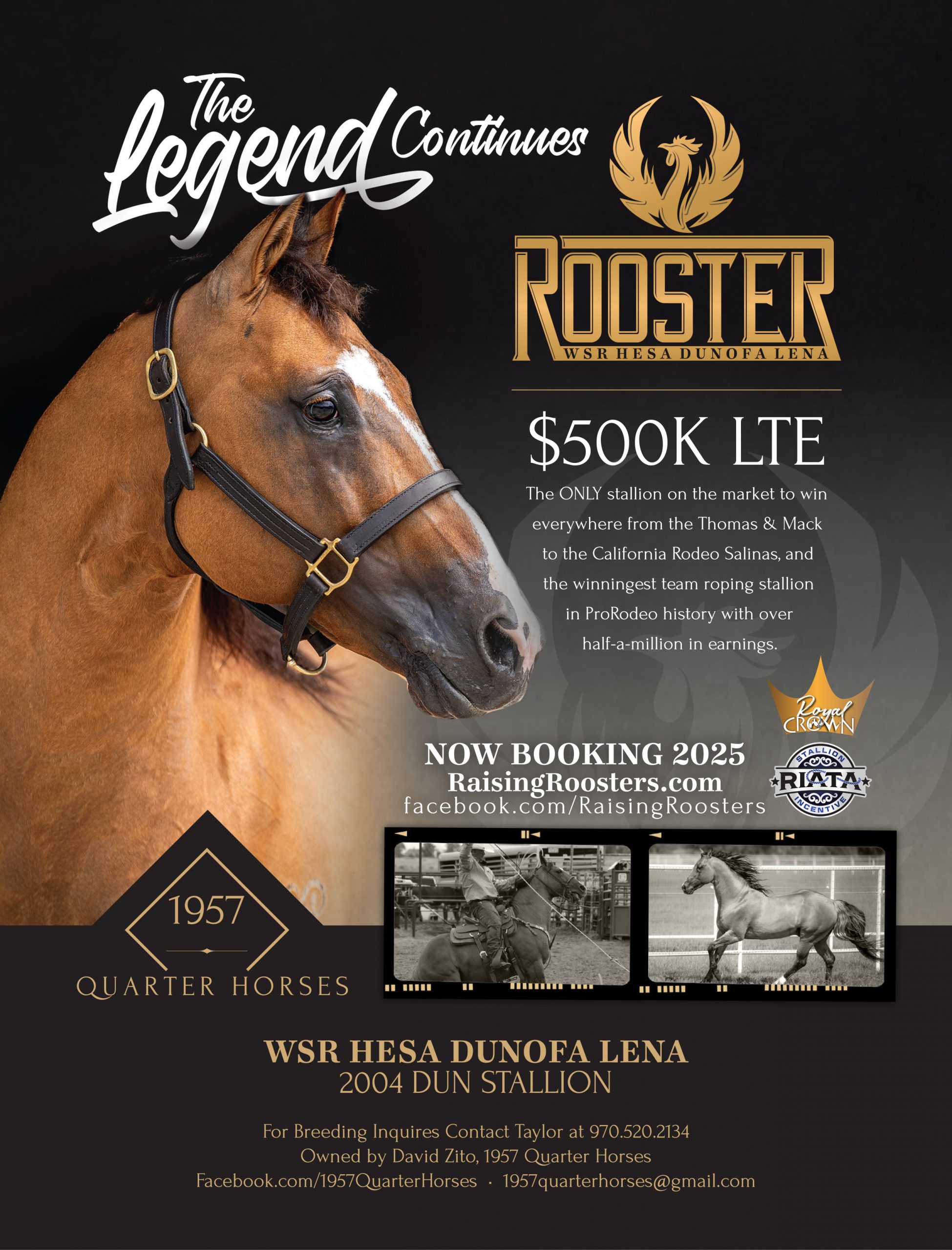 1957QH_TRJ_1_Rooster_1024-copy-scaled