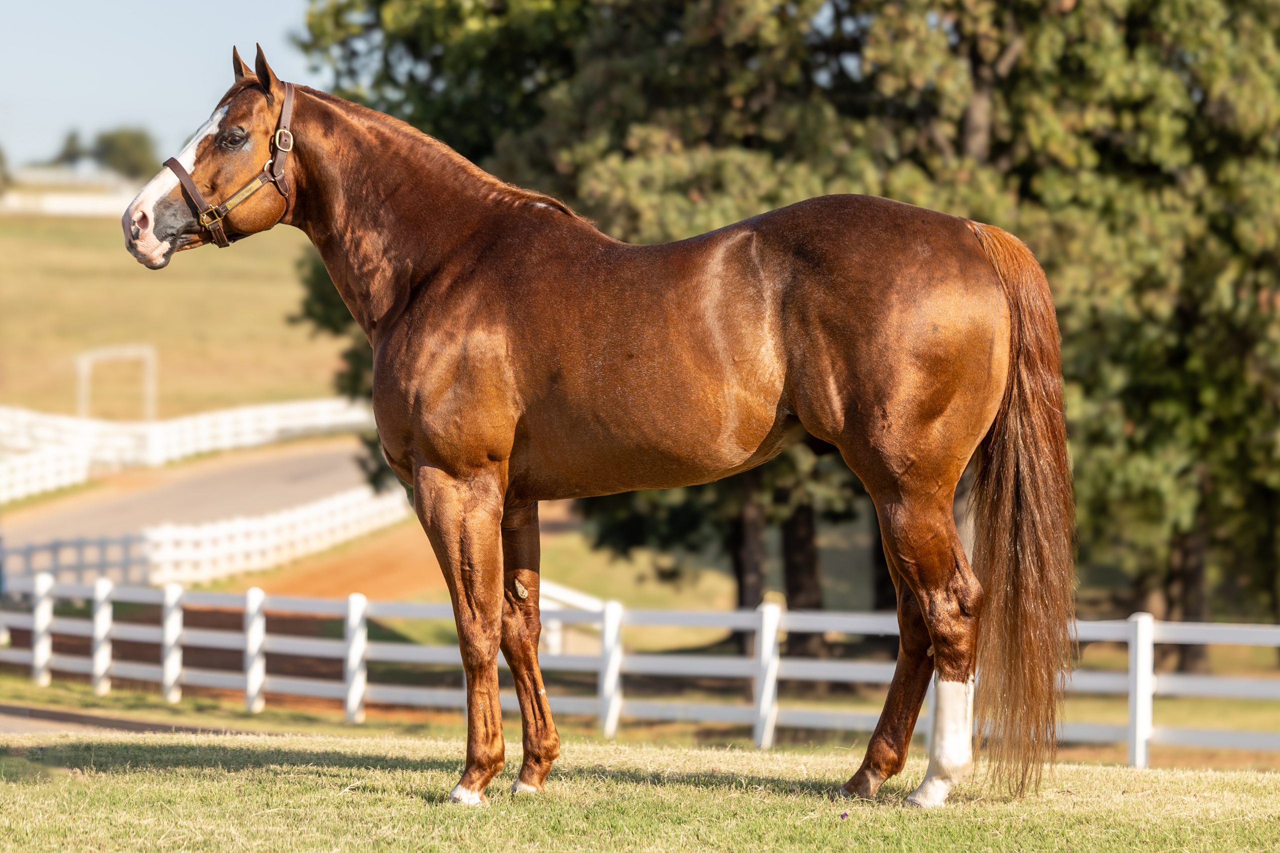 2025Conformation-2-scaled (1)