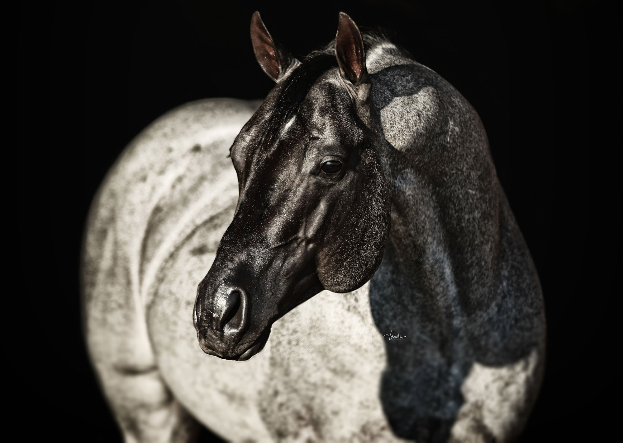 One-Fabulous-Time-Headshot-1