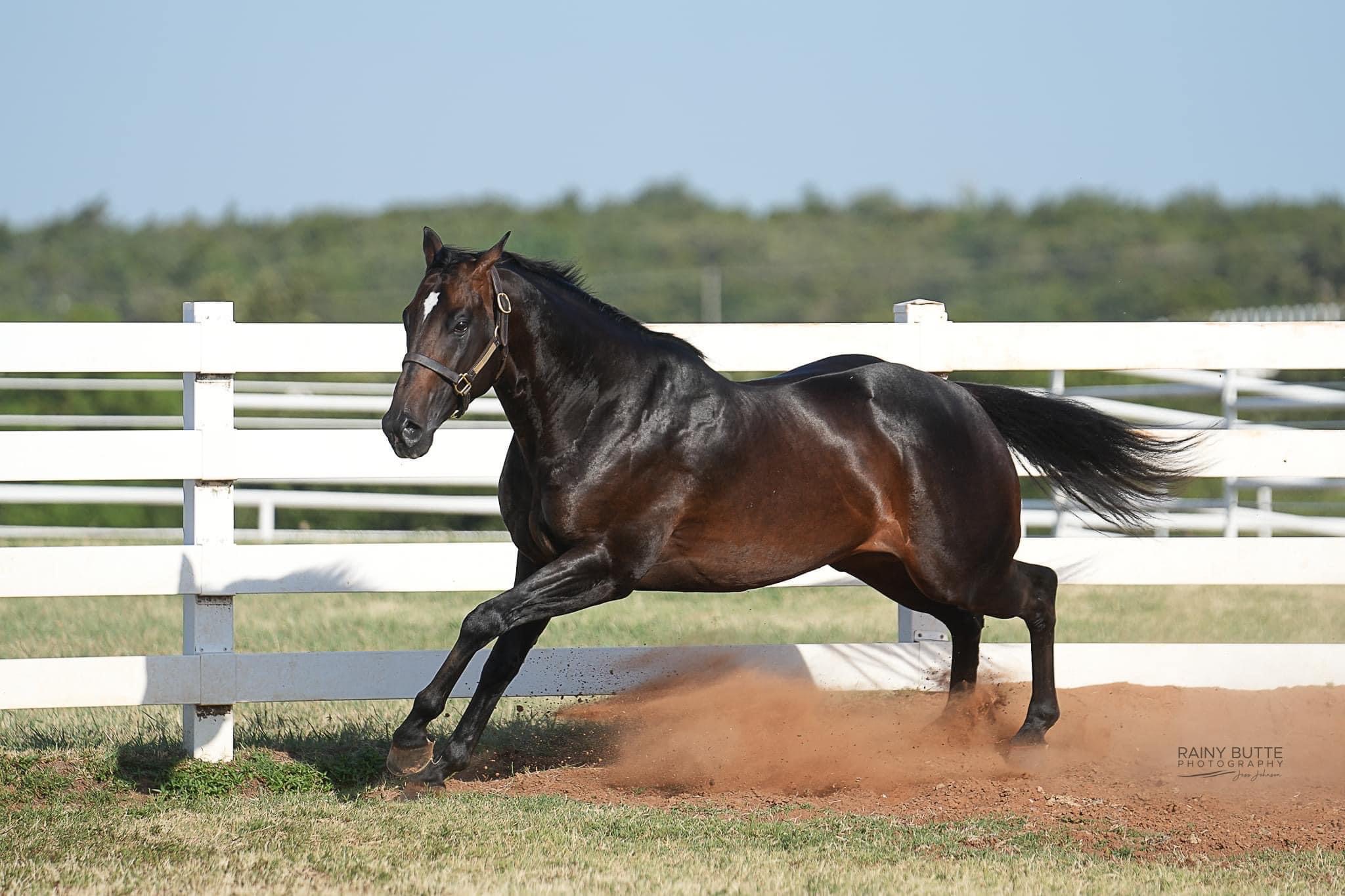 Photo-Feb-07-2023-10-28-08-AM