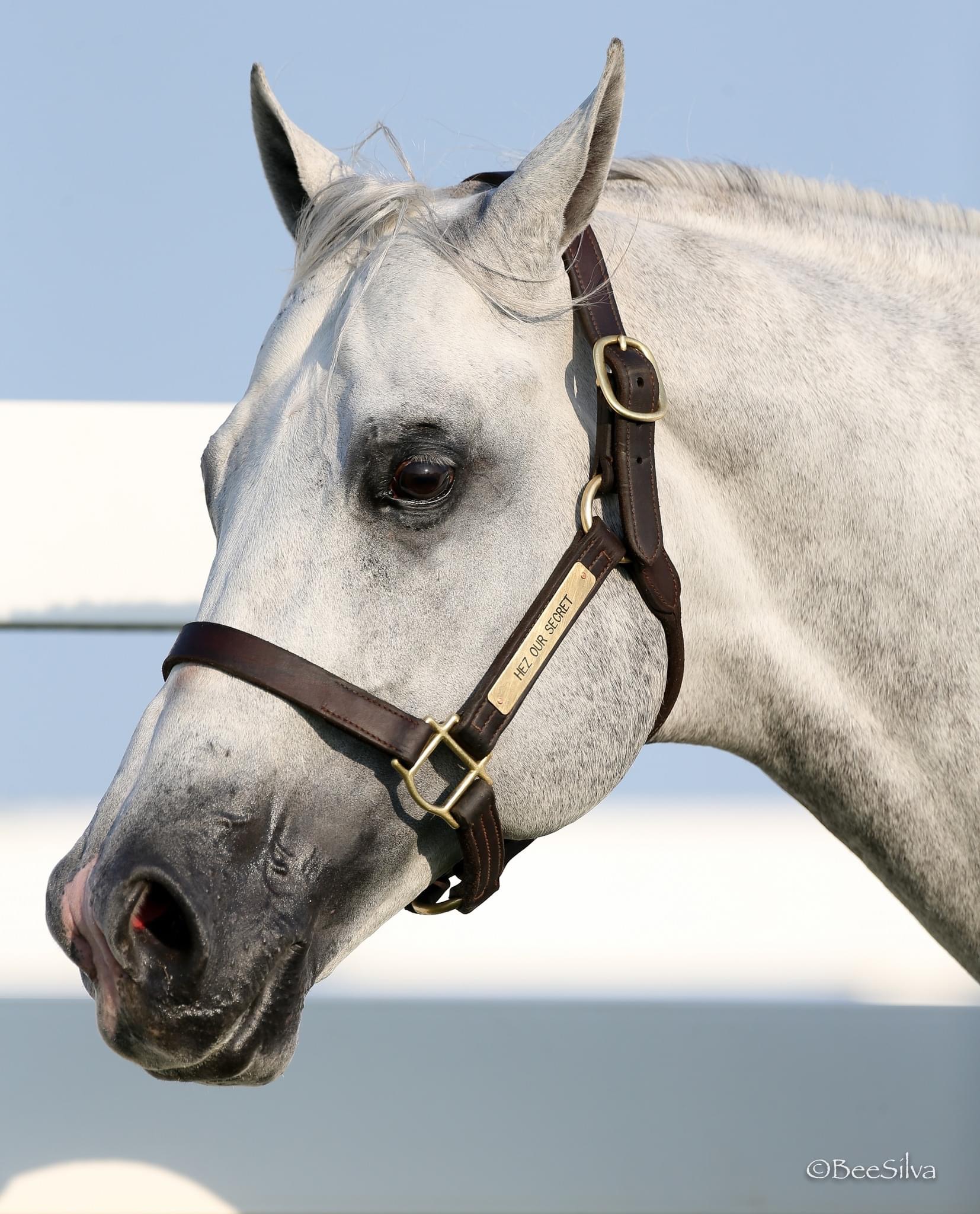 Photo-Nov-07-2023-9-03-08-PM