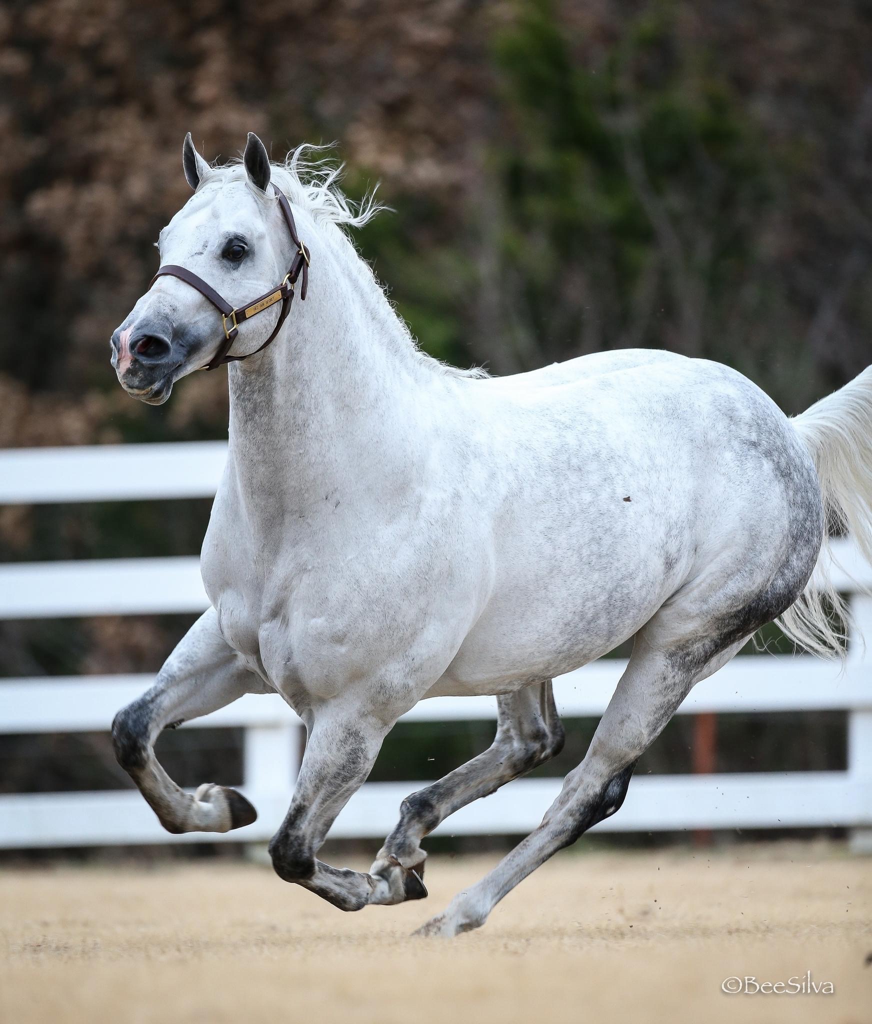 Photo-Nov-07-2023-9-03-17-PM