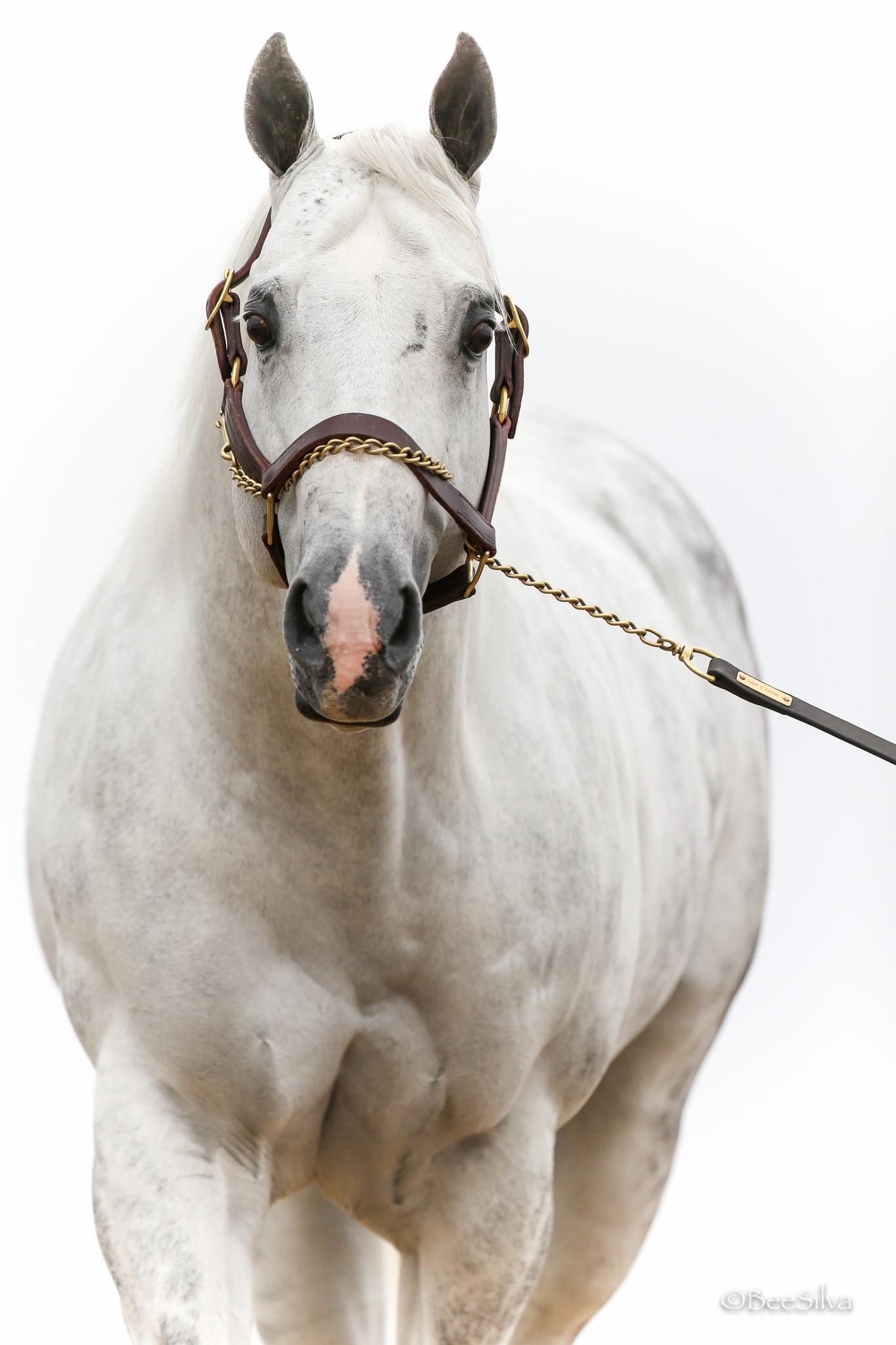 Photo-Nov-07-2023-9-03-31-PM