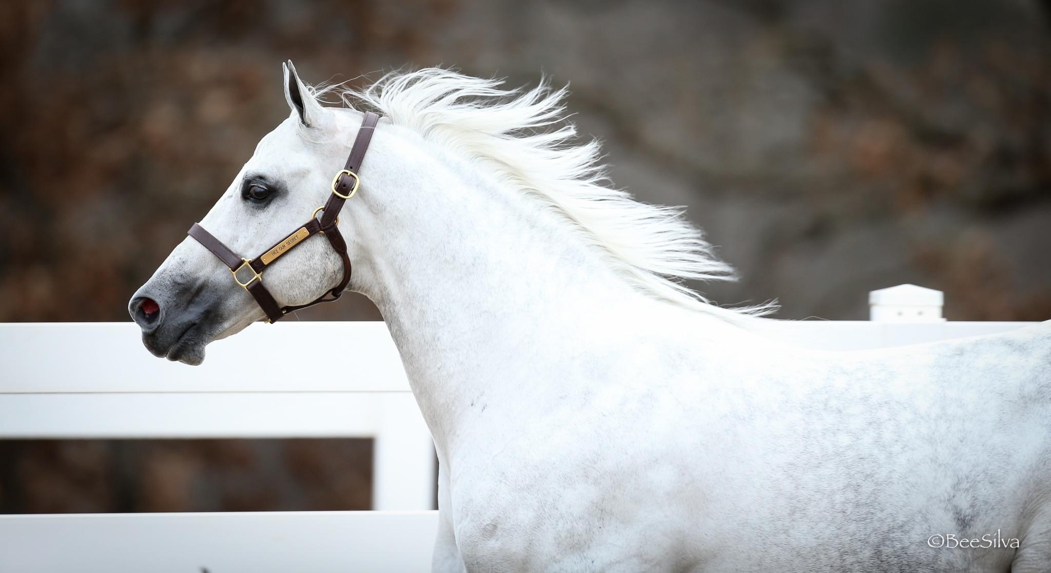 Photo-Nov-07-2023-9-03-40-PM