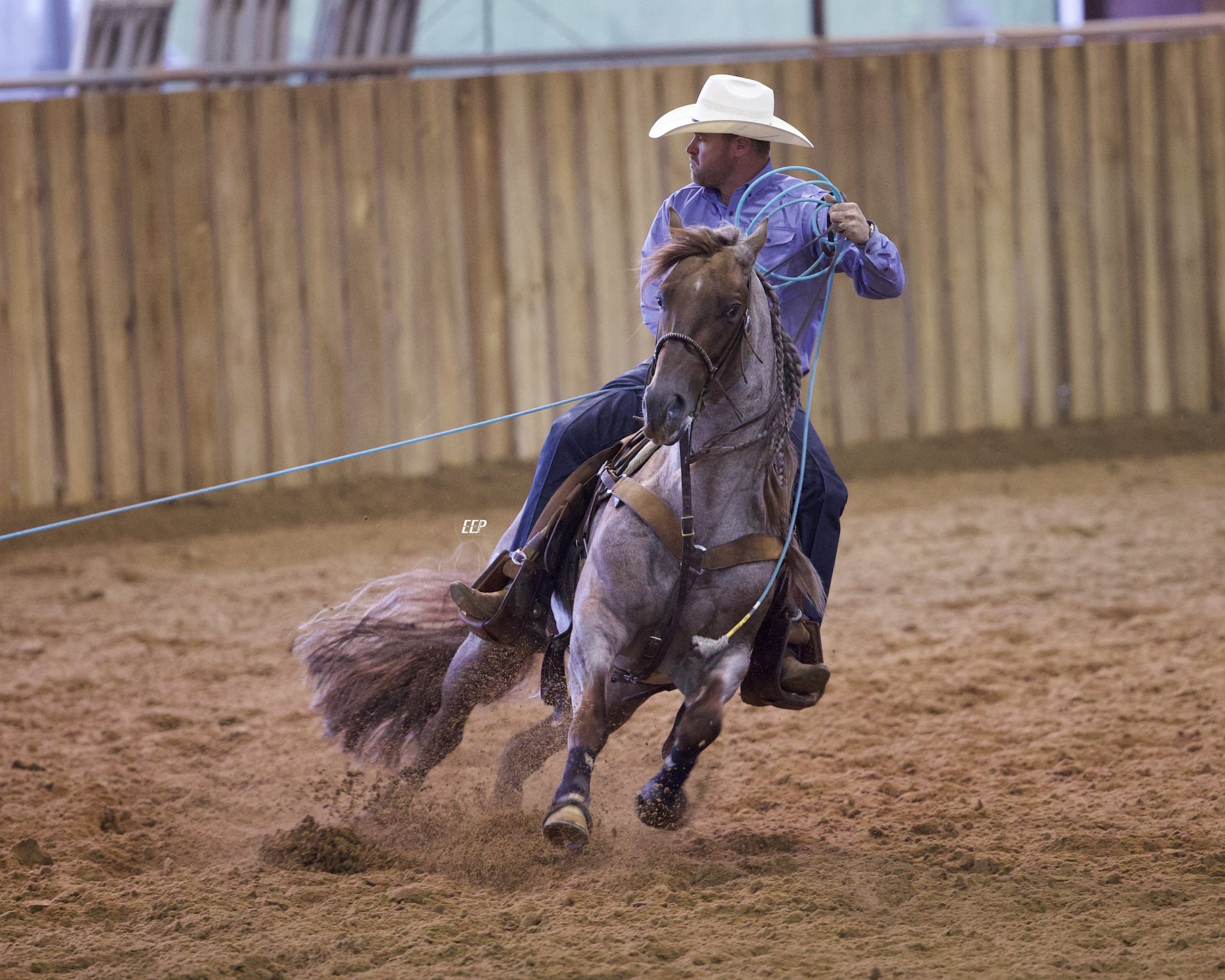 imgi_8_Photo-Apr-28-2023-10-17-02-PM-scaled